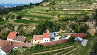 Expose Einzigartige Liegenschaft in der Wachau | Ausgebautes Weinkeller-Loft mit WOW-Faktor