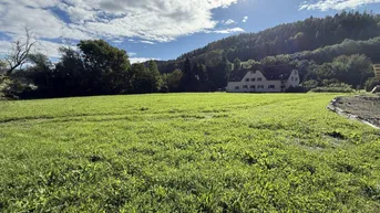 Expose Baugrundstück im Grenzkataster – 3.830 m² in sonniger Lage - Niklasdorf / Waltenbach!!
