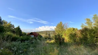 Expose 1953m² Grundstücksfläche - direkt am Bisamberg - Stadtvilla mit parkartigen Garten - privat Zugang zum Wald - Grünblick - Ruhelage