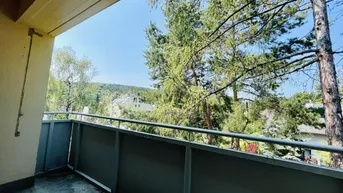 Expose Grüner Weitblick - digitales Anbotsverfahren - dein Projekt 2025 - Abendsonne auf der Loggia - Ruhelage - gute Raumaufteilung