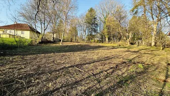 Expose Baugrundstück in absoluter Ruhelage