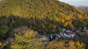 Panoramablick auf einen bewaldeten Hügel mit herbstlichen Bäumen und darunter liegenden Häusern.