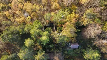 Luftaufnahme eines bewaldeten Grundstücks mit Herbstlaub und einem kleinen Gebäude inmitten der Natur.