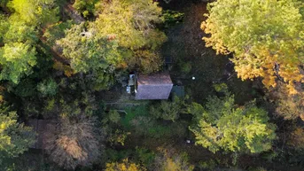 Expose Unglaubliches Erholungsrefugium I Einzigartiges Jagdhäuschen auf Eigengrund nächst Lainzer Tiergarten!