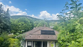 Sonniger Blick auf das Haus vom Garten aus, mit sichtbaren Solarpaneelen auf dem Dach.