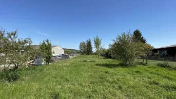 Weitläufige Grünfläche mit Bäumen unter blauem Himmel, ideal für Gartenliebhaber oder Neubauprojekt.