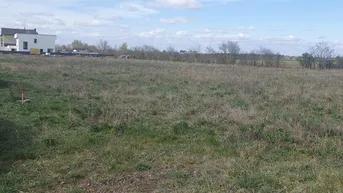 Expose Grundstück in Gänserndorf Süd