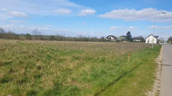 Expose Neuer Preis! Großes Eckgrundstück in Gänserndorf Süd