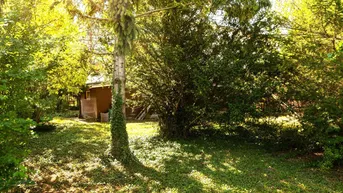 Expose Sonniger Baugrund in Gerasdorf/Kapellerfeld!