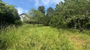 Expose Bauträger Projekt in bester Lage in Brunn am Gebirge