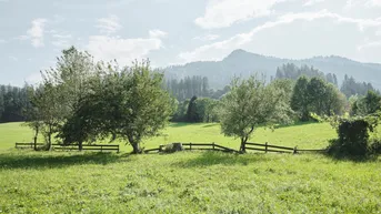 Expose Großzügiges Grundstück mit idyllischer Aussicht in vorteilhafter Lage von Wörgl I Bezirk Kufstein für Wohnen und Gewerbe