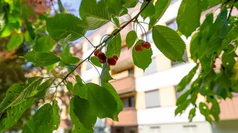Expose 3-4 Zimmer Wohnung "Cherry"
