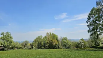 Expose Großes Grundstück mitten in Taiskirchen für Bauträgerprojekt