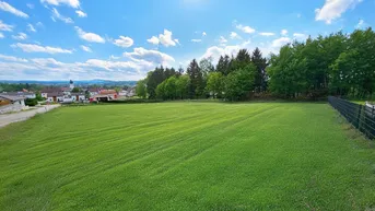 Expose Mein Panorama - großes Grundstück in Bestlage