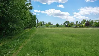 Expose Mein Panorama - großes Grundstück in Bestlage