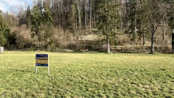 Grünfläche mit 'Zu Kaufen'-Schild und bewaldetem Hintergrund, ideal für ein neues Zuhause.