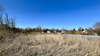 Expose Stadtnahe Ruheoase - Baugrundstück in Thalheim bei Wels