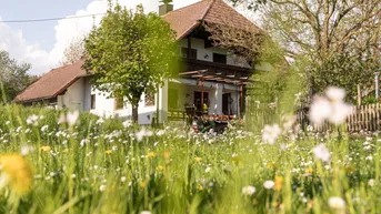 Expose S'Wiesenlandhaus - Landliebe pur – Zwei Häuser, ein Hof und unzählige Möglichkeiten