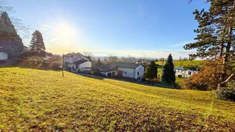 Weitläufige grüne Landschaft mit mehreren Häusern unter strahlend blauem Himmel und Sonnenschein.