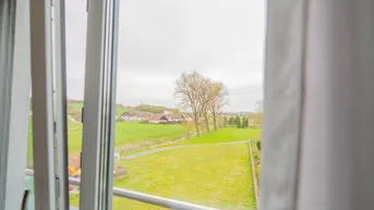 Weitläufiger Blick auf die grüne Landschaft und umliegende Häuser aus dem Fenster.