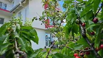 Expose Einfamilienhaus mit drei getrennte Wohneinheiten auf Pachtgrund; Privatverkauf! Preis auf Verhandlungsbasis