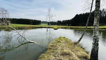 Expose Idyllisches Freizeitdomizil in absoluter Ruhelage – Ein Paradies für Naturliebhaber