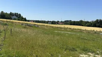 Expose Traumhaftes Baugrundstück in Tumeltsham ️ 