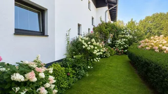Gepflegter Gartenbereich mit blühenden Hortensien und Rasenfläche entlang der Hausfassade.