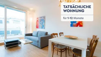 Expose Schaumburgergasse 1, 1BD, Elevator (1049297P)