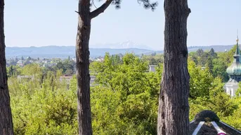 Panoramablick über grüne Baumwipfel und eine Stadtlandschaft bis zu den fernen Bergen.