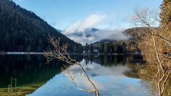 Expose Achtung: Preisreduktion!!! RARITÄT: NEUER Bungalow am Erlaufsee - Provisionfrei 