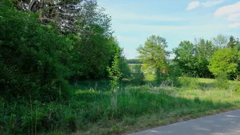 Grüne Landschaft mit Bäumen und Wiese unter blauem Himmel, ideal für Naturliebhaber.