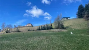 Expose Grosses Grundstück im idyllischen Meidelsing