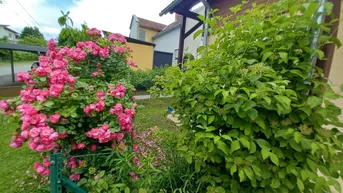 Expose Romantische Gartenwohnung mit sonniger Südterrasse