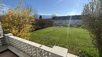Großer grüner Garten mit Rasenfläche und blühenden Sträuchern unter blauem Himmel.