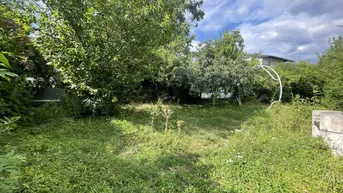 Expose Jungfamilien aufgepasst: moderne Wohnoase mit großzügiger Terrasse