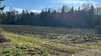 Expose Acker- und Waldflächen im Bezirk Leibnitz