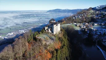 Expose Rent-a-Castle: Malerische Burg mit Panoramablick über das Rheintal!