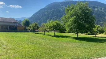 Weitläufige grüne Wiese mit vereinzelten Bäumen und bewaldeten Bergen im sonnigen Hintergrund.