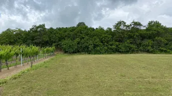 Expose Wunderschöner Garten umgeben von Weingärten mit Blick auf Wien