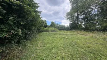 Expose Traumhaftes Baugrundstück in idyllischer Lage von Kirchbach, Niederösterreich - Perfekt für Ihr Eigenheim!