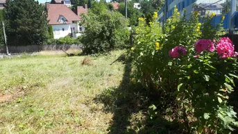 Expose Sonniger Baugrund in Neuhofen an der Krems