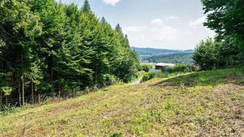 Expose Erhöht gelegenes 911 m² Baugrundstück samt 5.000 m² Eigenwald in Stattegg