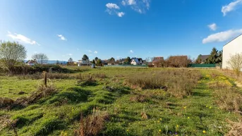 Großes, unbebautes Grundstück mit grüner Wiese und einigen Wildblumen unter blauem Himmel.
