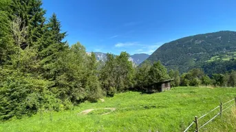 Expose Wiese im vorderen Ötztal