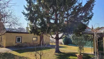 Expose Traumhaftes Baugrundstück in Perchtoldsdorf