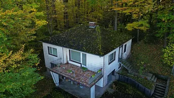 Expose Haus auf großen Grundstück in Alleinlage mit herrlichen Ausblick in Steyr zu verkaufen