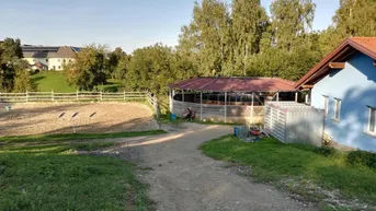 Expose Pferdehof mit Entwicklungspotential in Eggendorf im Traunkreis!