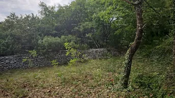 Expose Bauland Bauland und landwirtschaftliche Flächen in der Nähe von Svetvinčenat: 11100 m² für Ihre Investition