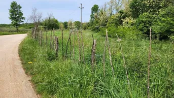 Expose Bauland Bauland zum Verkauf, 12.000 m2, in attraktiver Lage direkt unterhalb des kleinen istrischen Dorfes Sveti Ivan. Es liegt an der Asphaltstraße. Die Straße ist nicht mit Verkehr belastet. Die Infrastruktur ist nicht weit vom Grundstück entfernt. Geeignet für